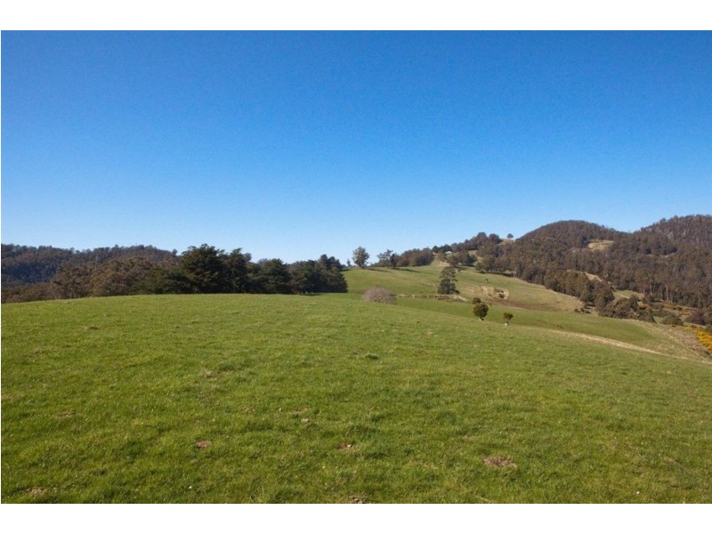 - Cawthorns Road, Wattle Grove TAS 7109
