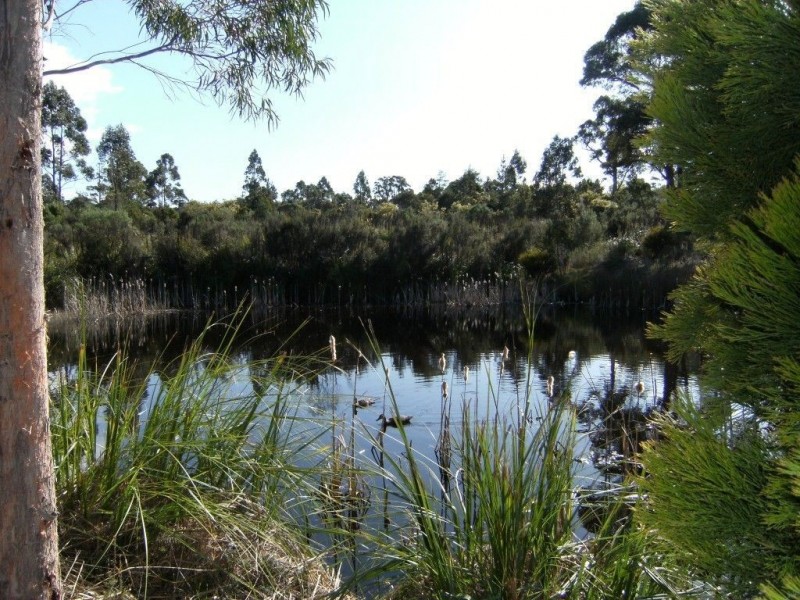 On Request, Dover TAS 7117