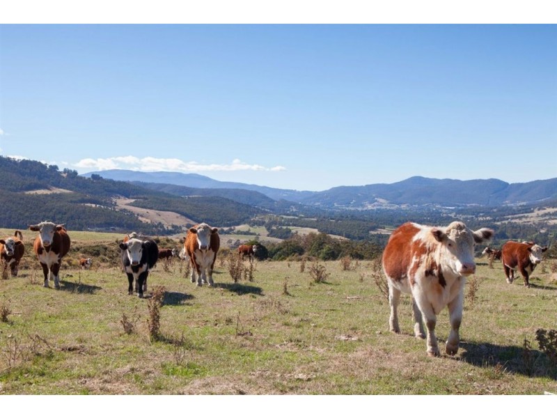 Ra Deans Road, Glen Huon TAS 7109