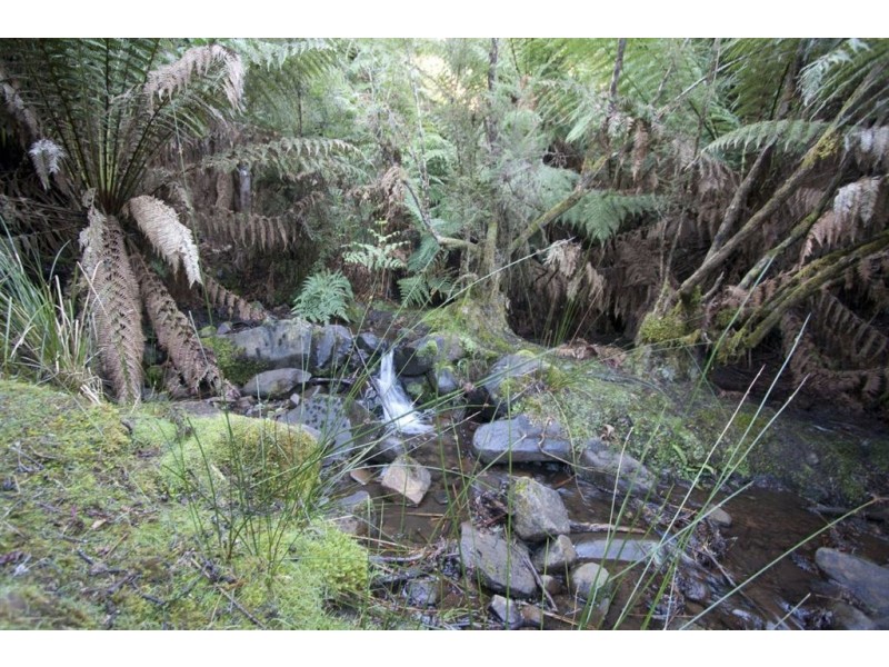 - Crabtree Road, Crabtree TAS 7109