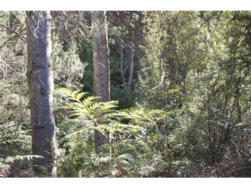 - Crabtree Road, Crabtree TAS 7109