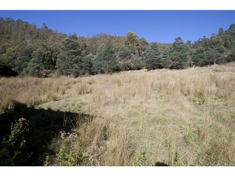 - Crabtree Road, Crabtree TAS 7109