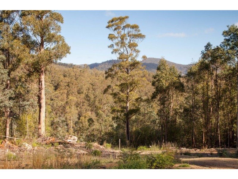 944 Pelverata Road, Pelverata TAS 7150