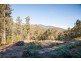 944 Pelverata Road, Pelverata TAS 7150