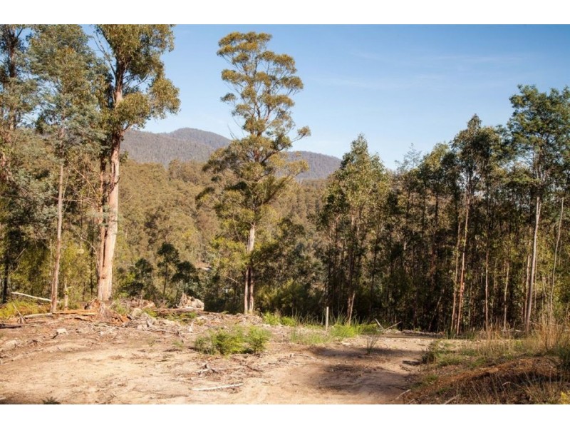 944 Pelverata Road, Pelverata TAS 7150
