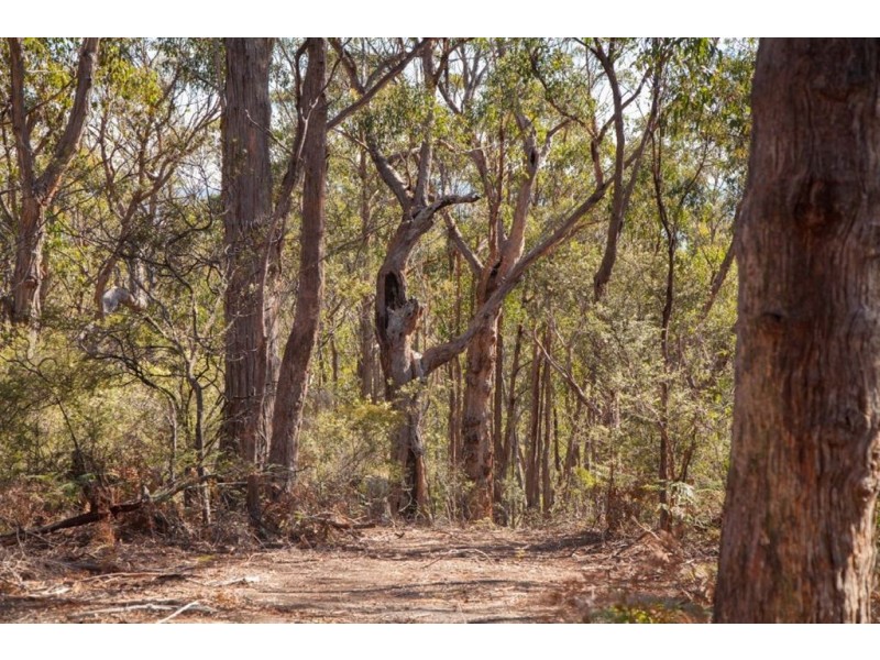 - Sandhill Road, Cradoc TAS 7109