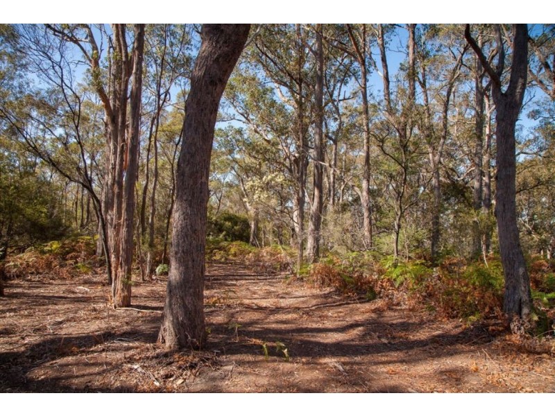 - Sandhill Road, Cradoc TAS 7109