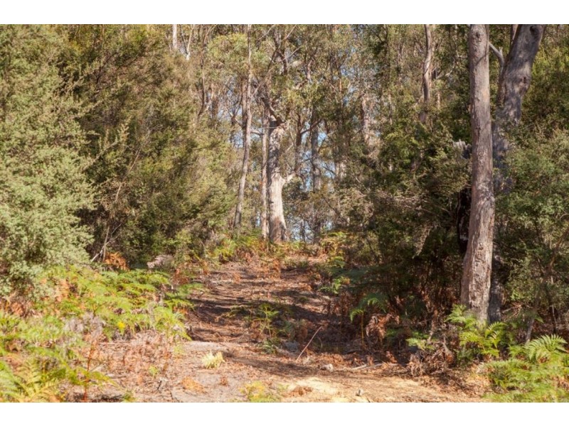 - Sandhill Road, Cradoc TAS 7109