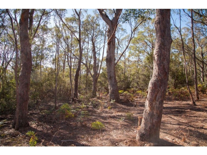 - Sandhill Road, Cradoc TAS 7109