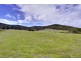 12 Walters Road, Wattle Grove TAS 7109