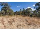 Ra Narrows Road, Strathblane TAS 7109