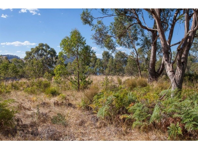 Ra Narrows Road, Strathblane TAS 7109