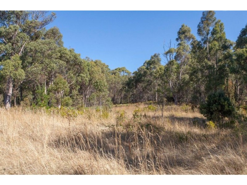 Ra Narrows Road, Strathblane TAS 7109