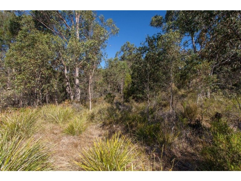 Ra Narrows Road, Strathblane TAS 7109