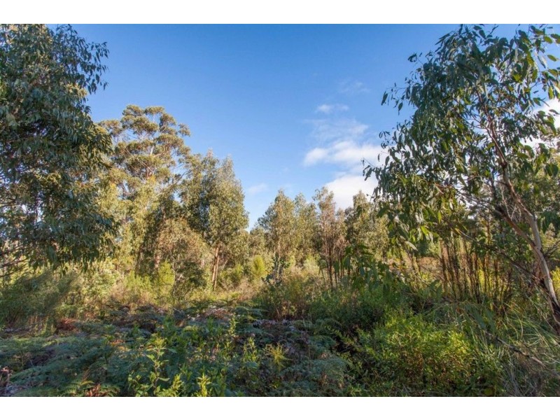 - Lady Bay Road, Southport TAS 7109