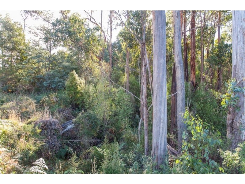 - Lady Bay Road, Southport TAS 7109