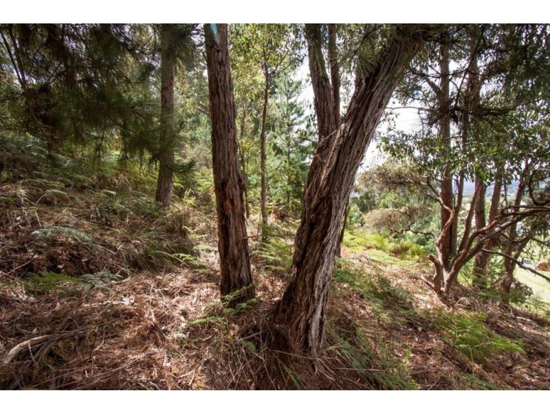27 Elizabeth Street, Ranelagh TAS 7109