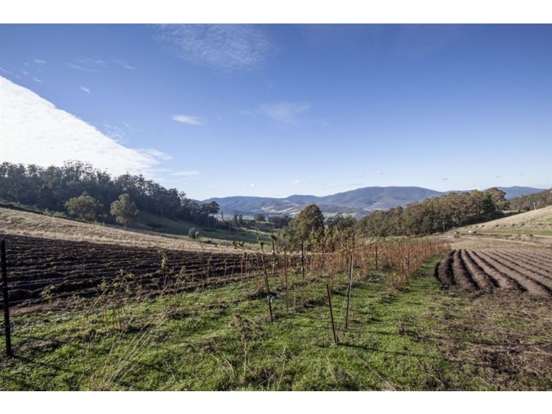 - Cnr Jetty Road and Kings Hill Road, Cygnet TAS 7112