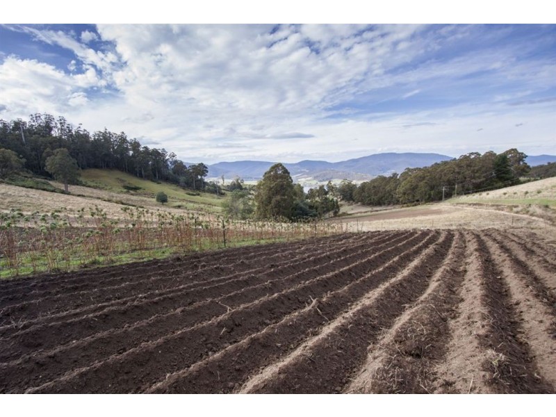 - Cnr Jetty Road and Kings Hill Road, Cygnet TAS 7112