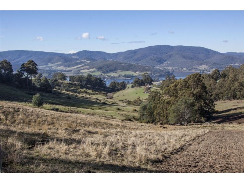 - Cnr Jetty Road and Kings Hill Road, Cygnet TAS 7112