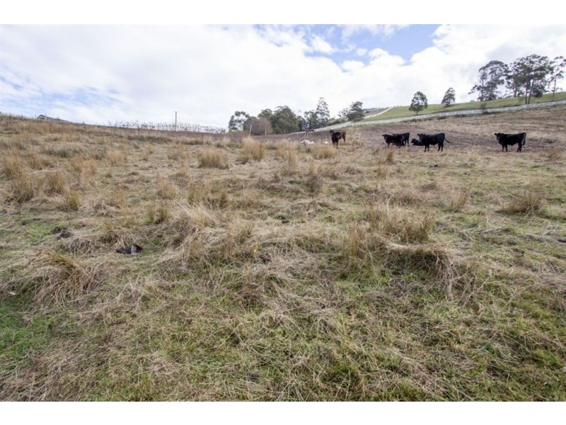 - Cnr Jetty Road and Kings Hill Road, Cygnet TAS 7112