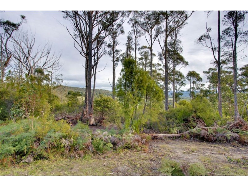 48 Kellys Road, Cradoc TAS 7109