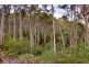48 Kellys Road, Cradoc TAS 7109
