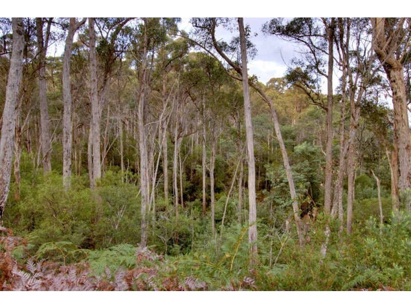 48 Kellys Road, Cradoc TAS 7109