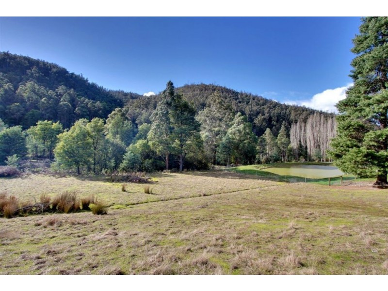 348 Bakers Creek Road, Lucaston TAS 7109