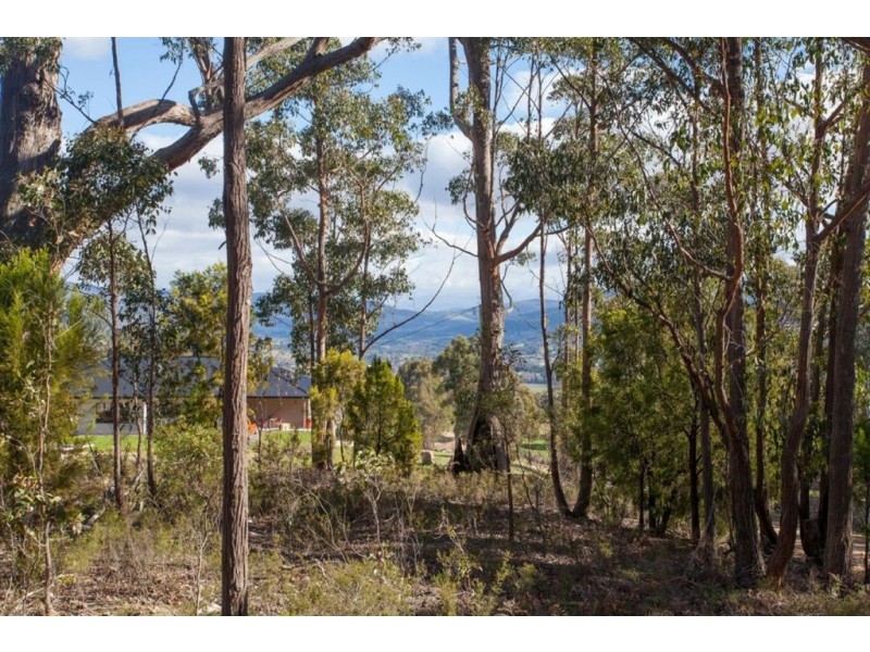 198 Dowlings Road, Huonville TAS 7109