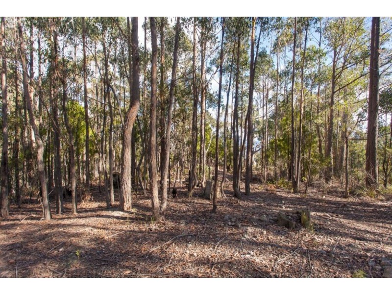 198 Dowlings Road, Huonville TAS 7109