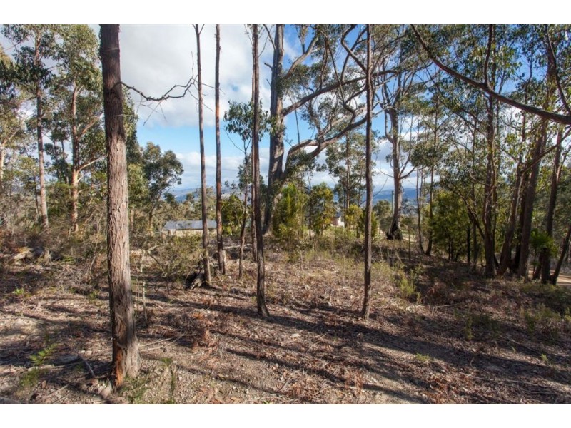 198 Dowlings Road, Huonville TAS 7109