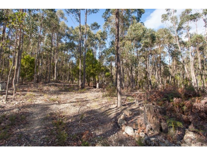 198 Dowlings Road, Huonville TAS 7109