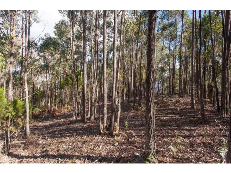 198 Dowlings Road, Huonville TAS 7109