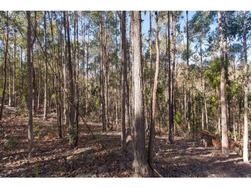 198 Dowlings Road, Huonville TAS 7109