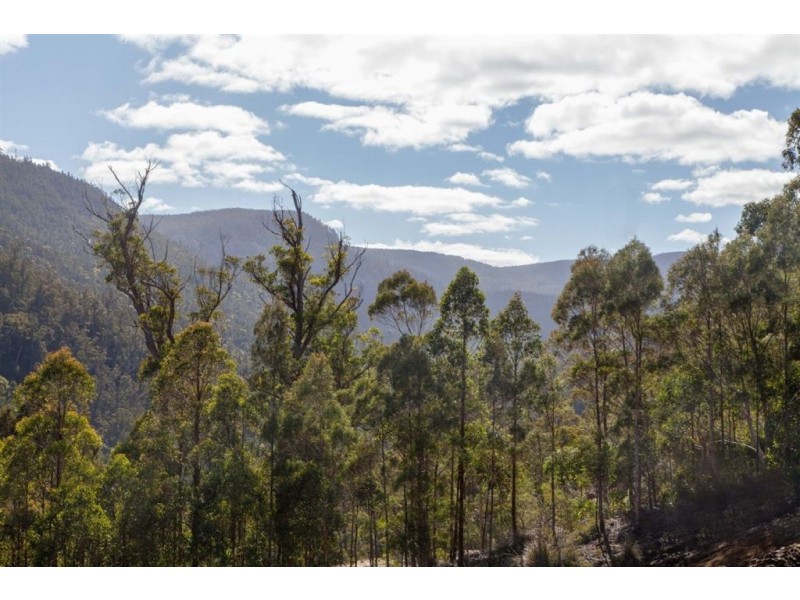 - Judds Creek Road, Judbury TAS 7109