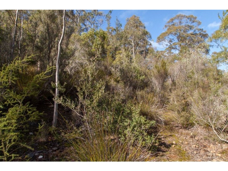 - Judds Creek Road, Judbury TAS 7109