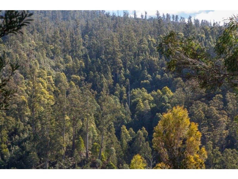- Judds Creek Road, Judbury TAS 7109