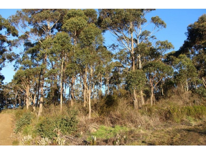 42 Hill Street, Geeveston TAS 7116