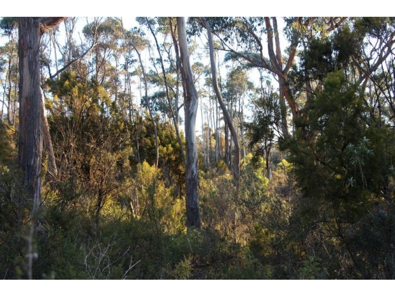 42 Hill Street, Geeveston TAS 7116