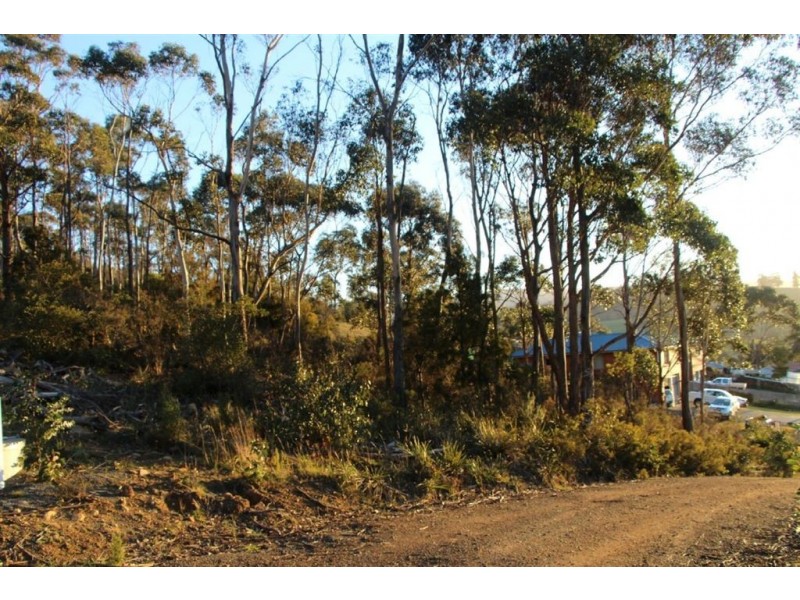 42 Hill Street, Geeveston TAS 7116