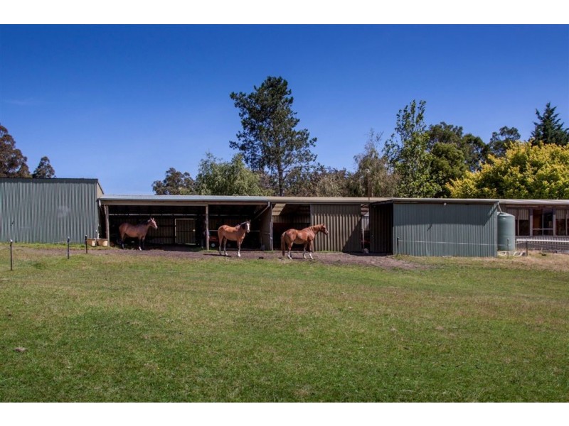 109 Gums Road, Mountain River TAS 7109