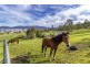 27 Glenbervie Road, Dover TAS 7117