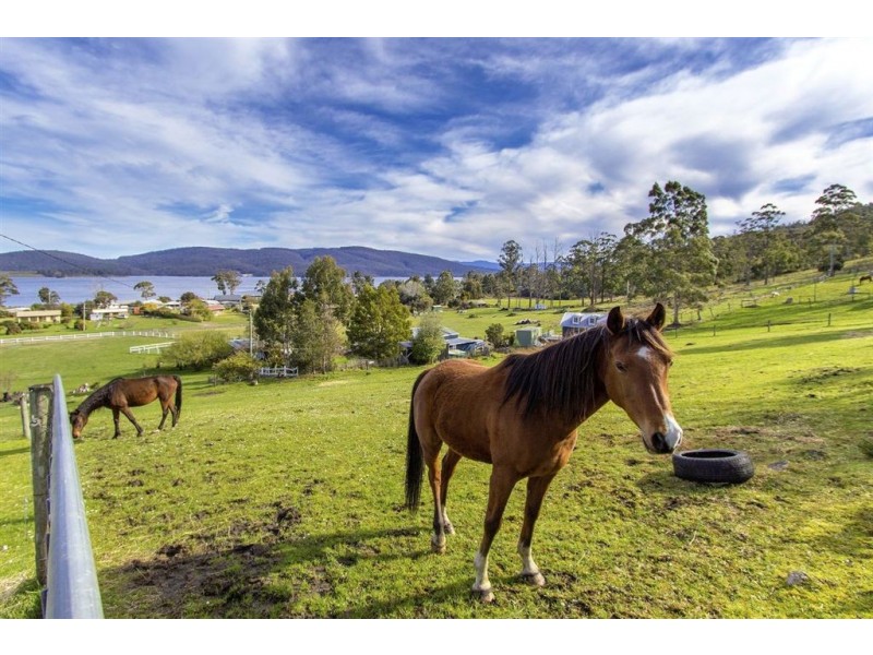 27 Glenbervie Road, Dover TAS 7117