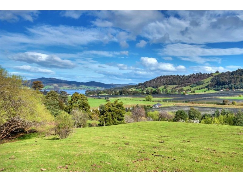 106 Castle Forbes Road, Castle Forbes Bay TAS 7116
