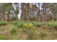 69 Smyley Street, Franklin TAS 7113