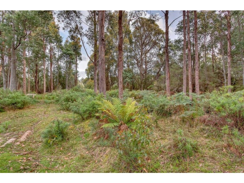 69 Smyley Street, Franklin TAS 7113