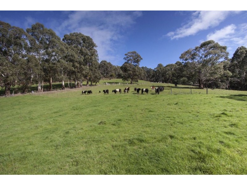 10 Sorell Street, Port Huon TAS 7116