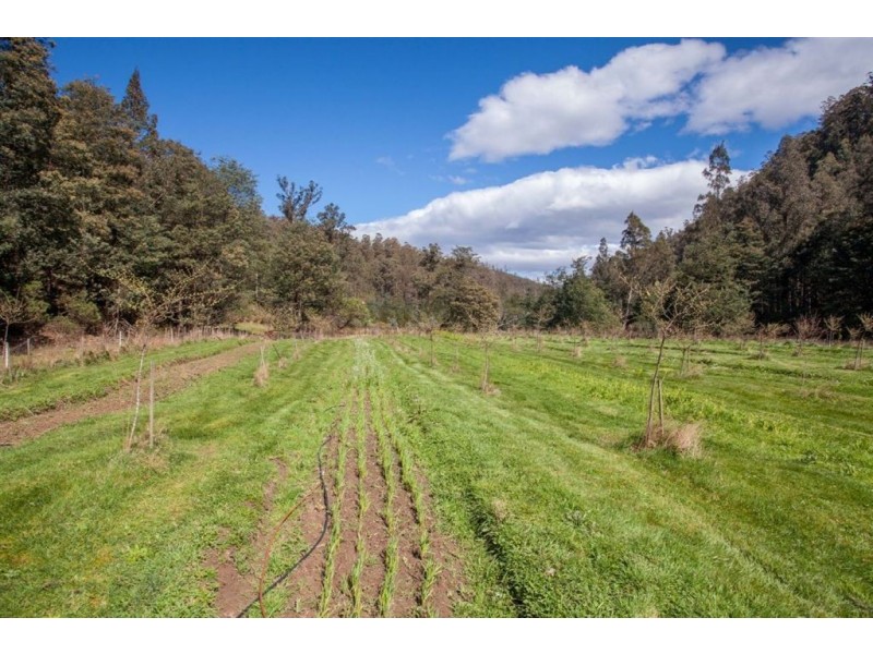 988 Pelverata Road, Pelverata TAS 7150