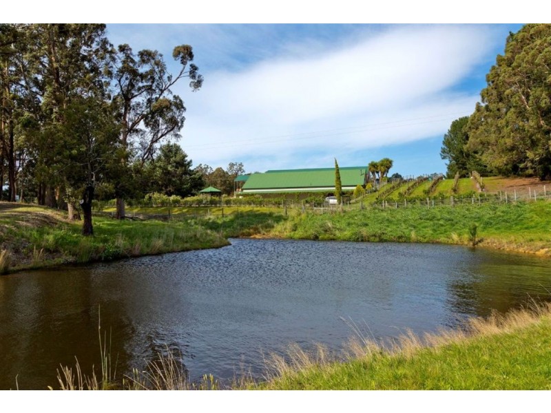 1848 Cygnet Coast Road, Cradoc TAS 7109